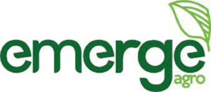 Emerge