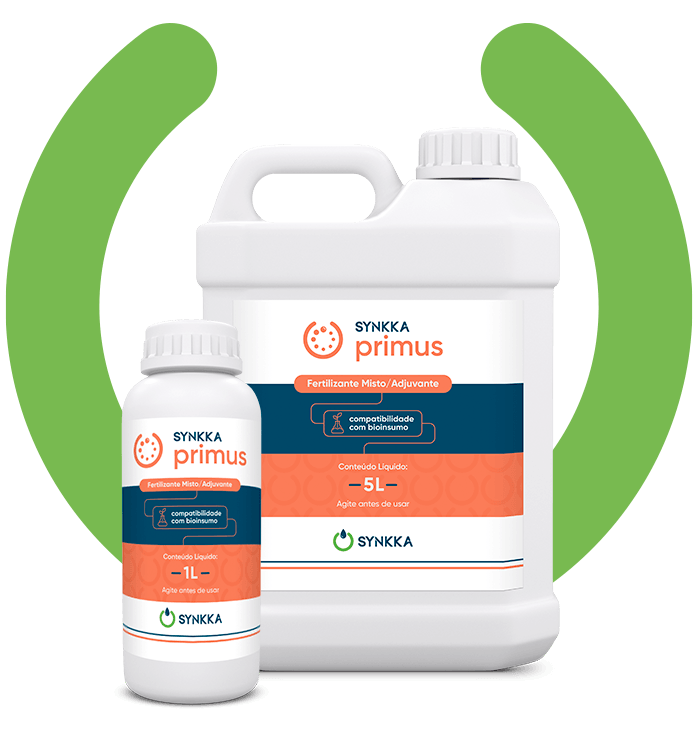 Mockup primus