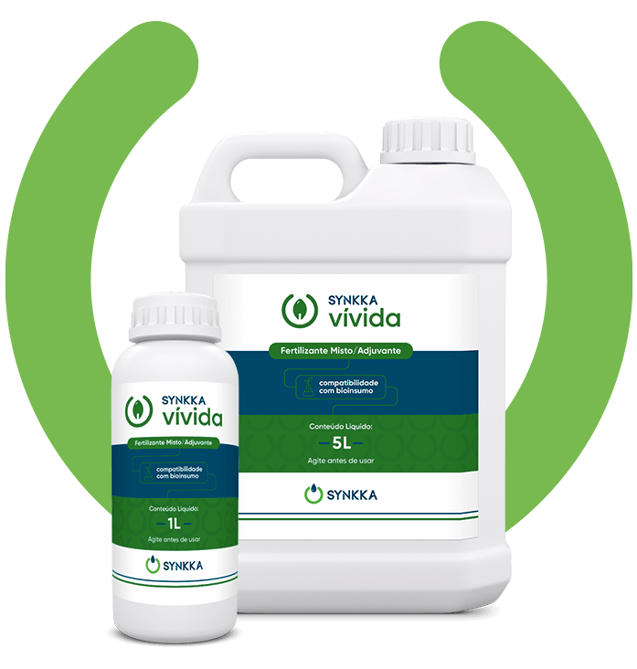 Mockup vivida