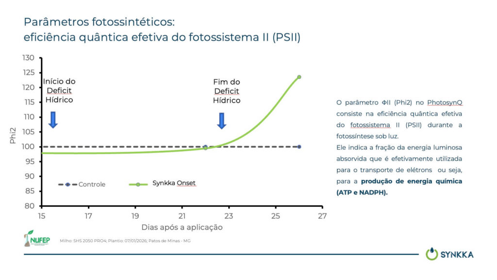 Onset resultado